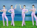 关于云裳广场舞奢香夫人背面教学视频的信息